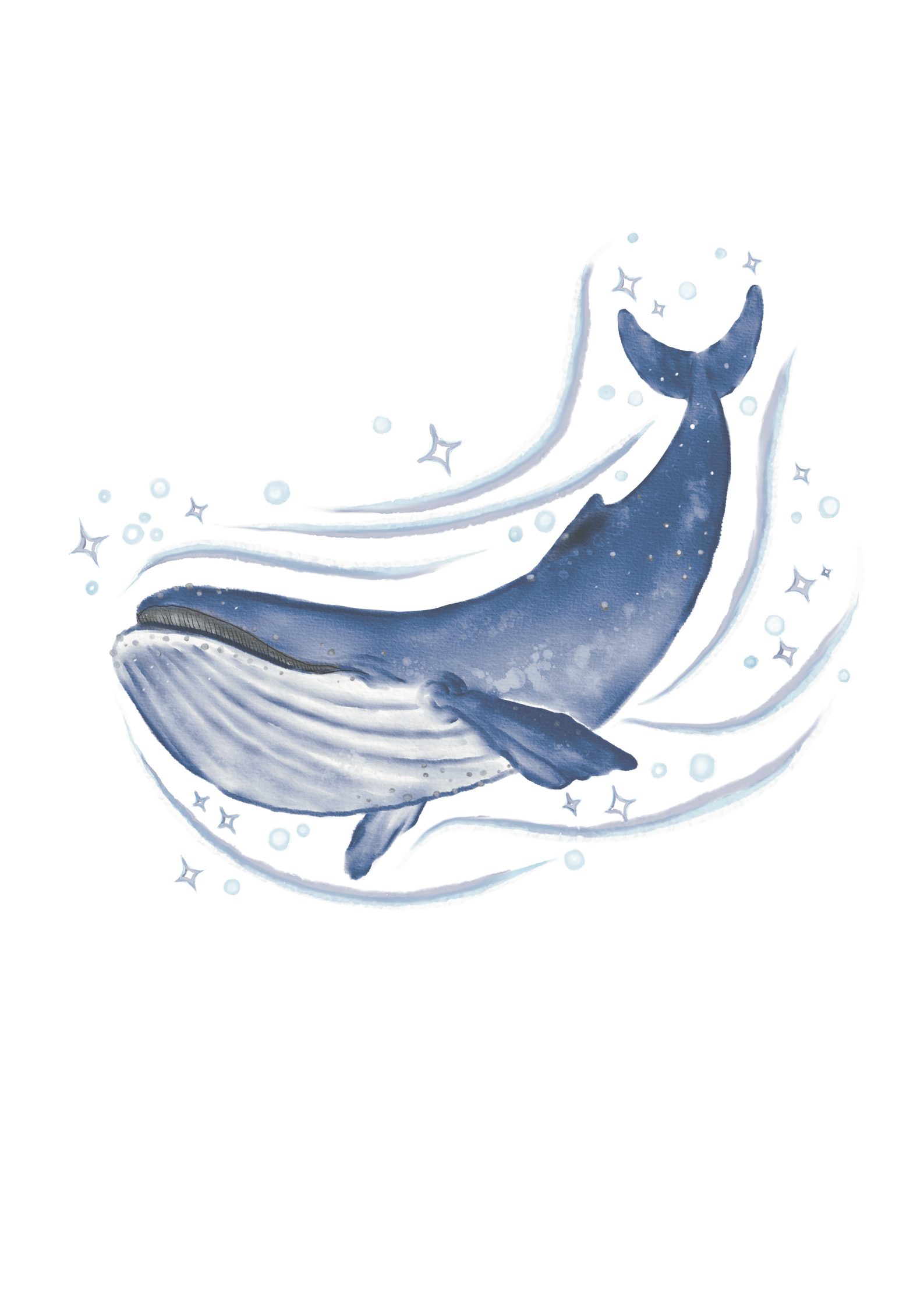 Blue Whale